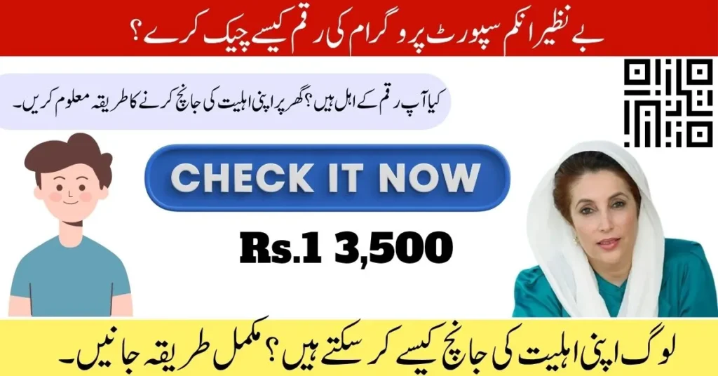 BISP payment 13500, BISP 2025 guide, BISP withdrawal process, BISP eligibility check, BISP biometric verification, 8171 SMS check, NSER survey update, NADRA record correction, BISP CNIC verification, Benazir Income Support Program,