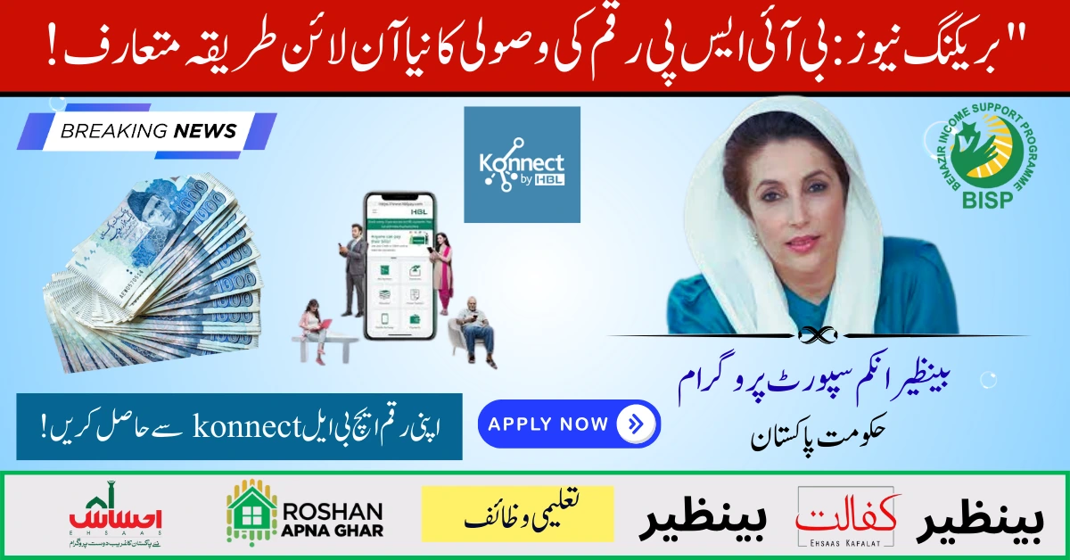 BISP Payment Update 2025.