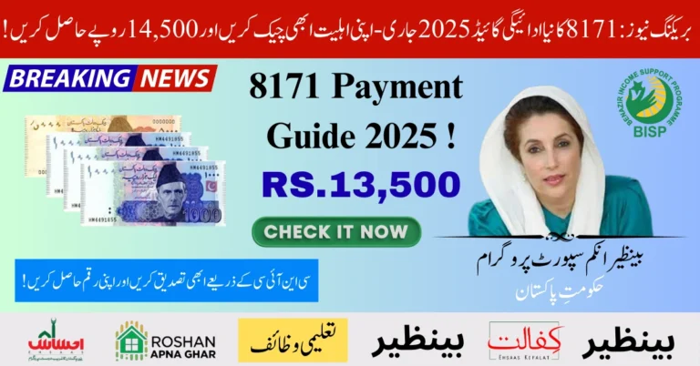 8171 Payment Guide 2025