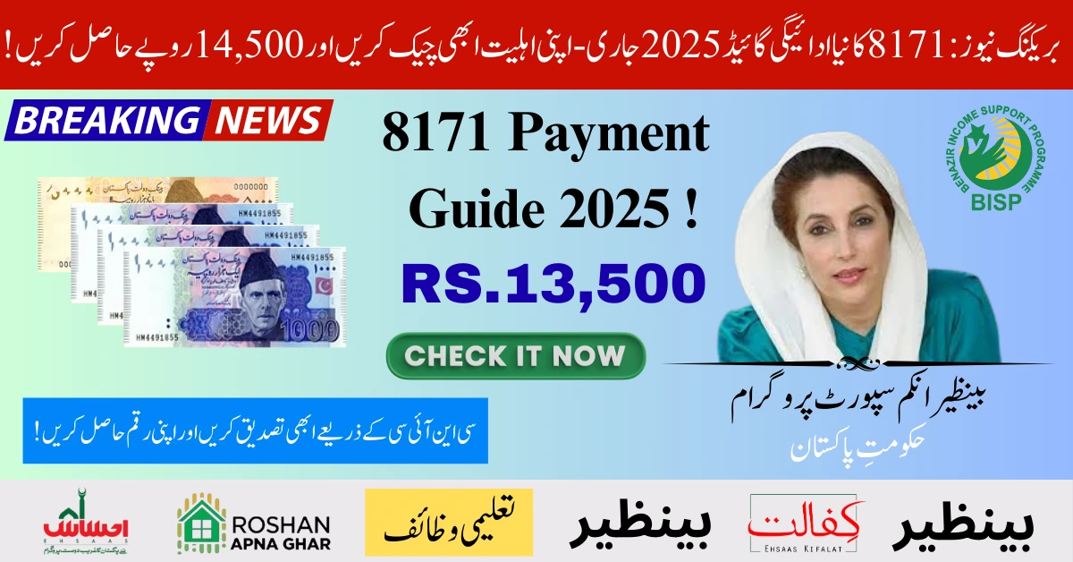 8171 Payment Guide 2025