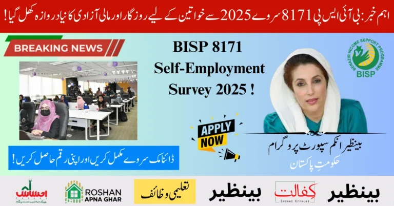 BISP 8171 Self-Employment Survey 2025 – Women Gain Financial Independence via This Program ! 7 BISP 8171 Self-Employment Survey 2025