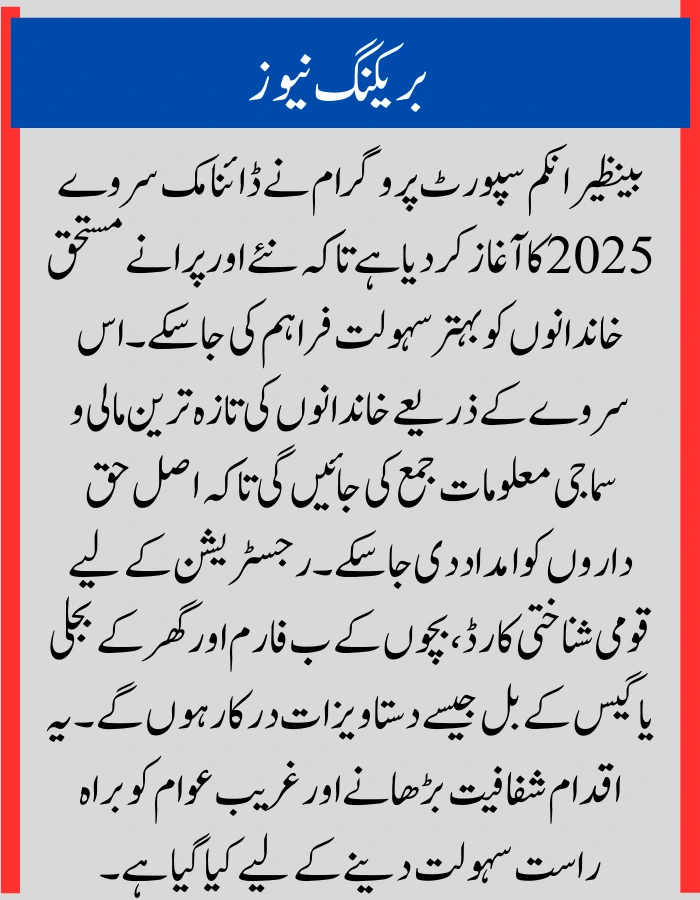 BISP Dynamic Survey 2025