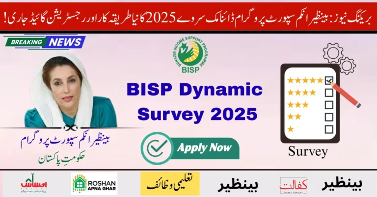 BISP Dynamic Survey 2025