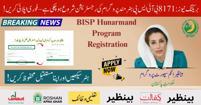 8171 BISP Hunarmand Program Registration Online – Proper Guide 2025 3 BISP Hunarmand Program Registration ۔