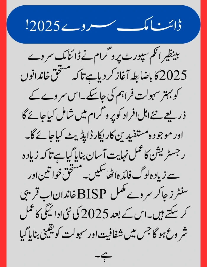 BISP Dynamic Survey 2025 