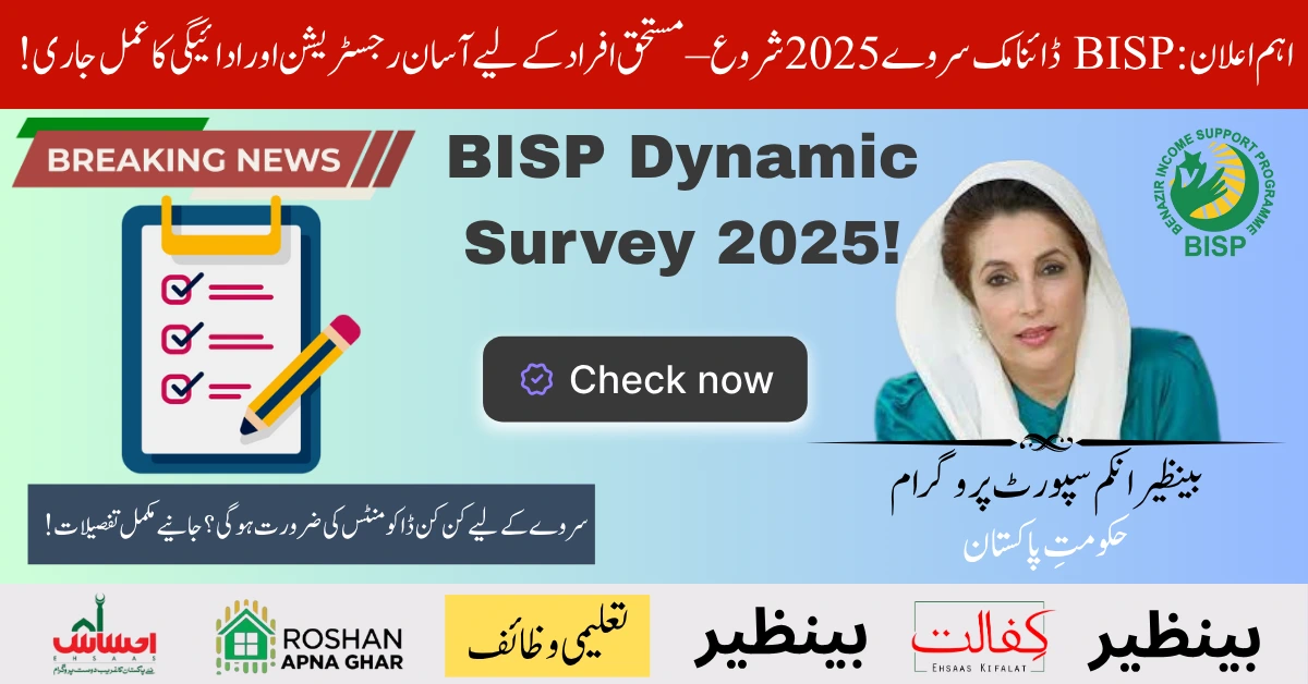 BISP Dynamic Survey 2025
