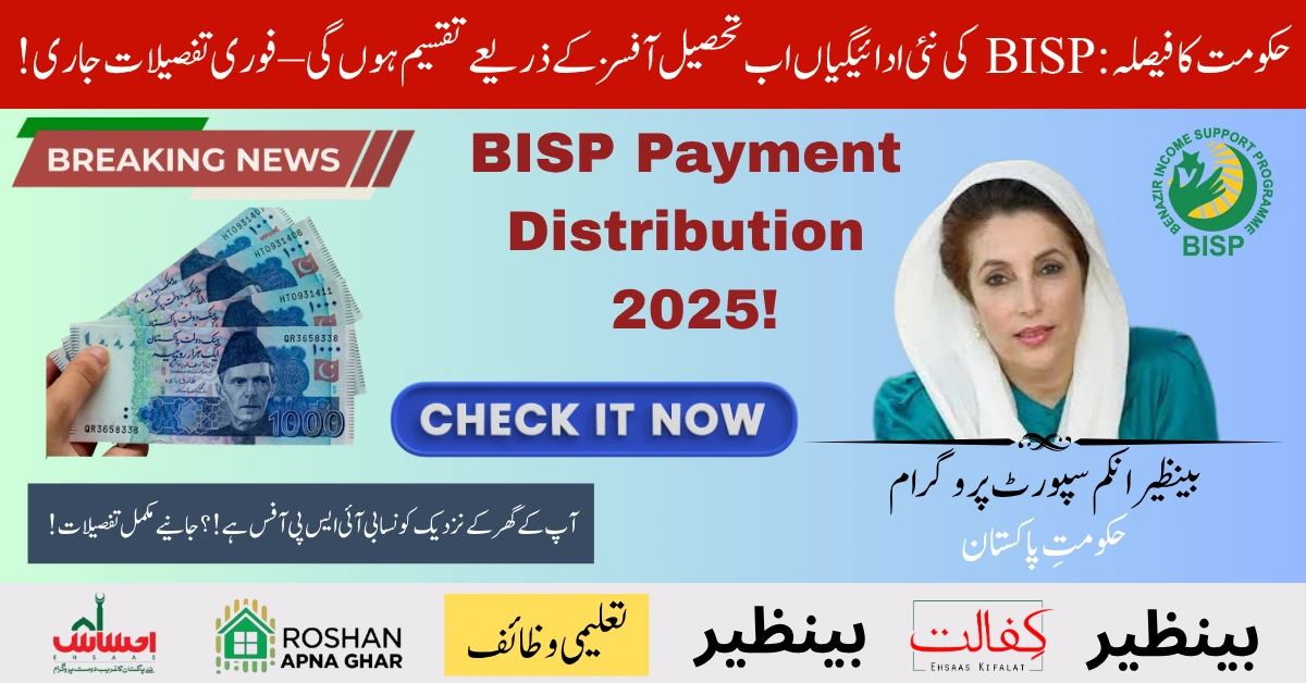 BISP Payment Distribution 2025